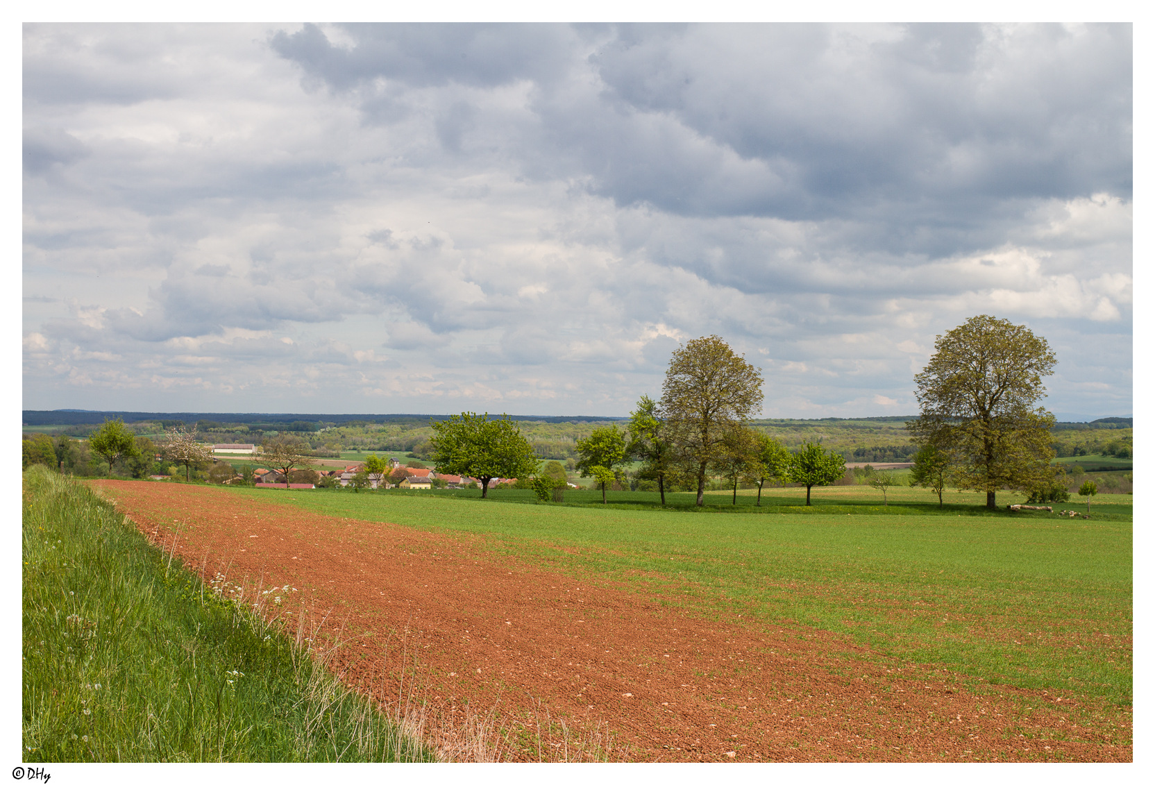 mirabelles-10