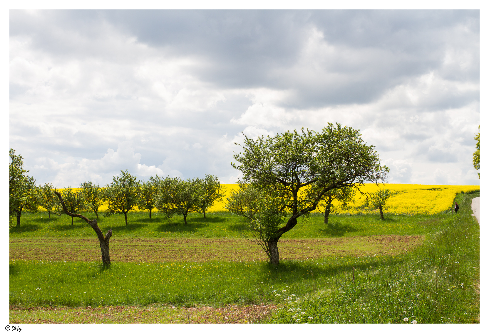 mirabelles-11