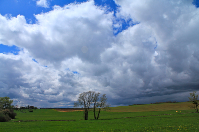 Réméréville, photo de F. Martin